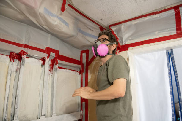 Best Comprehensive Air Testing for Mold Contaminants  in Wabasha, MN