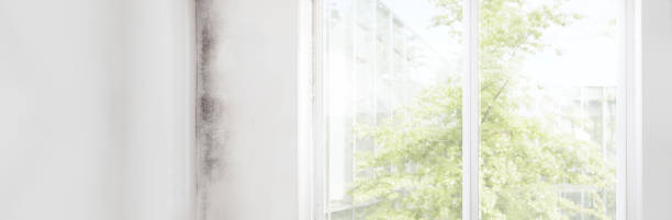Best Air Quality Testing for Mold Spores  in Wabasha, MN